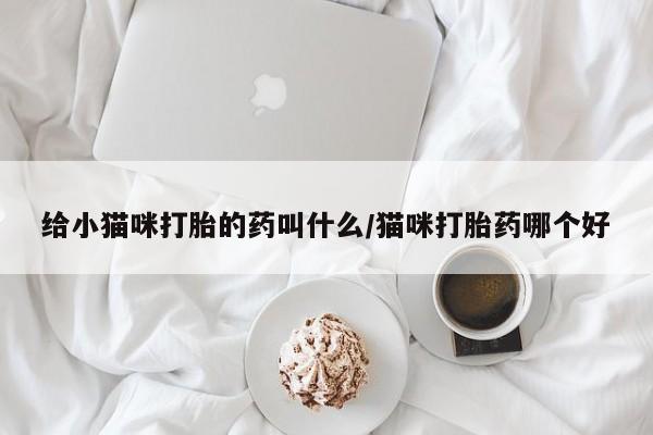 打胎药购买联系给小猫咪打胎的药叫什么/猫咪打胎药哪个好