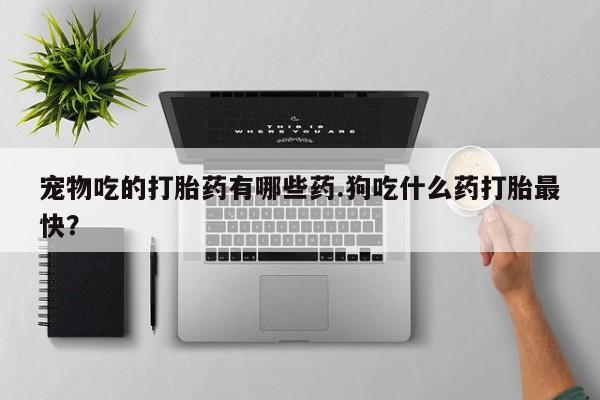 打胎药购买联系宠物吃的打胎药有哪些药.狗吃什么药打胎最快？