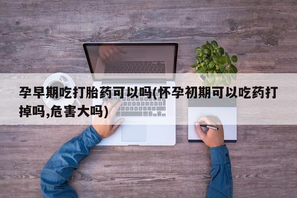 打胎药购买联系孕早期吃打胎药可以吗(怀孕初期可以吃药打掉吗,危害大吗)