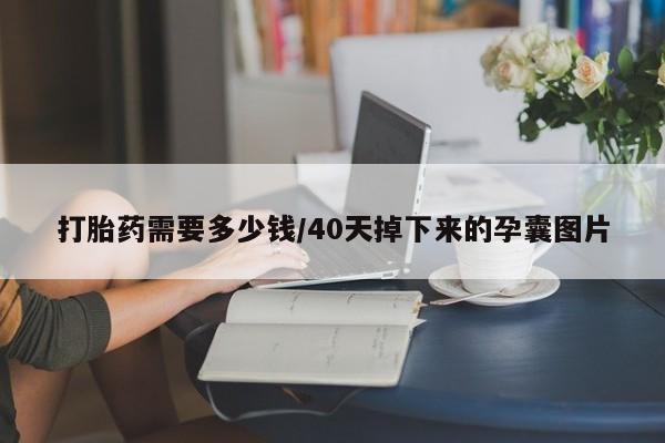 打胎药购买联系打胎药需要多少钱/40天掉下来的孕囊图片